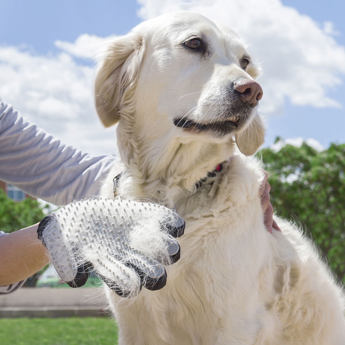 Luva de Silicone para Escovar e Massajar Animais